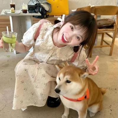 金太狼的幸福生活